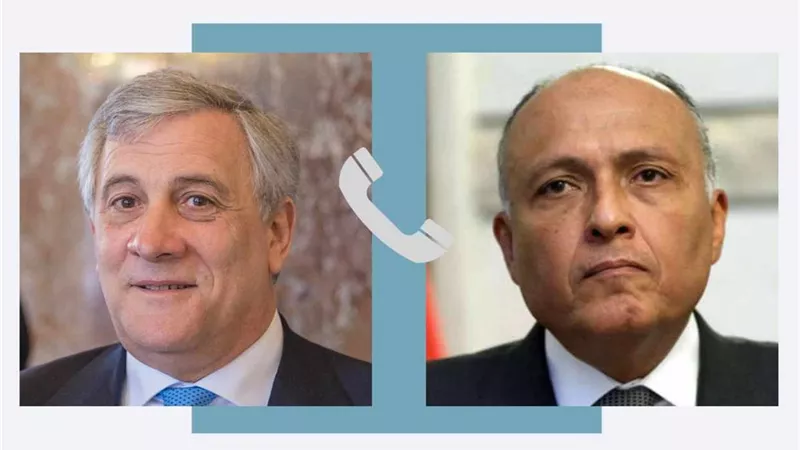 وزير الخارجية يبحث مع نظيره الإيطالي الأوضاع والتحديات المشتركة بمنطقة البحر المتوسط