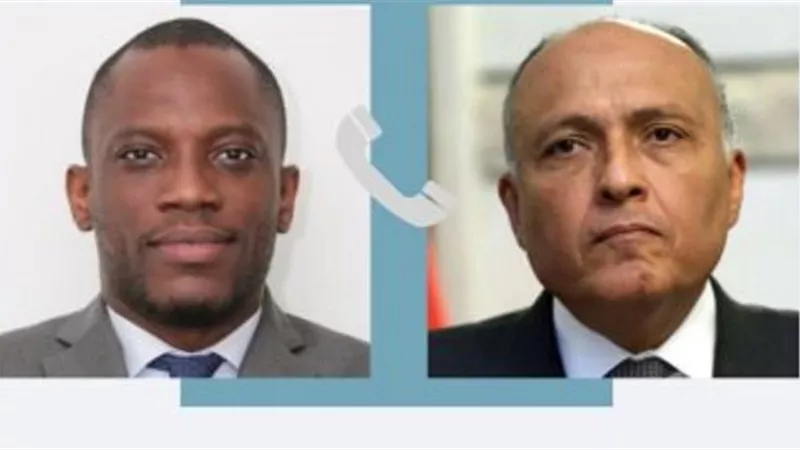 وزير الخارجية يؤكد ضرورة حل الأزمة فى النيجر دبلوماسيا