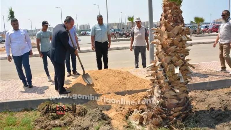 رئيس جامعة دمياط يتفقد أعمال زراعة المسطحات الخضراء