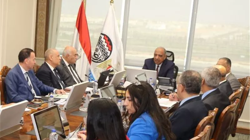 عصمت:الشركات القابضة تمتلك كوادربشرية قادرةعلى استيعاب خطةالتطوير