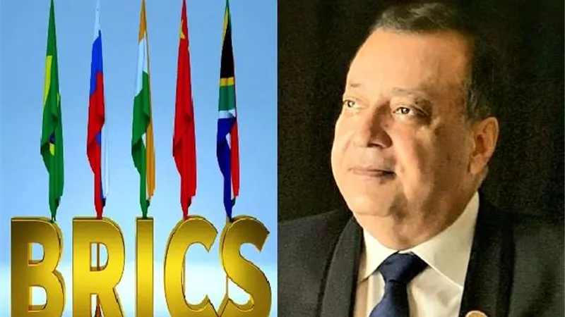 سعد الدين:انضمام مصر تكتل للبريكس يحقق التوازن للاقتصاد القومى