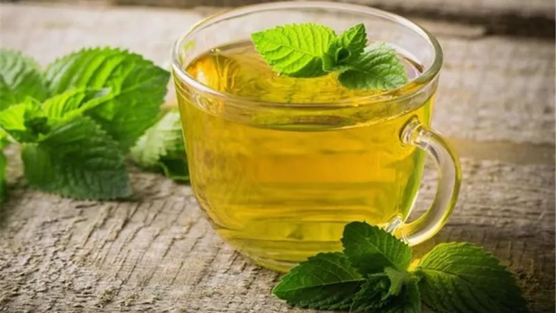 مطهر للمعدة والأمعاء.. أهم فوائد النعناع