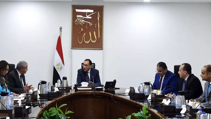 بشرى سارة من وزير التموين بشأن ضخ السلع بأسعار مناسبة