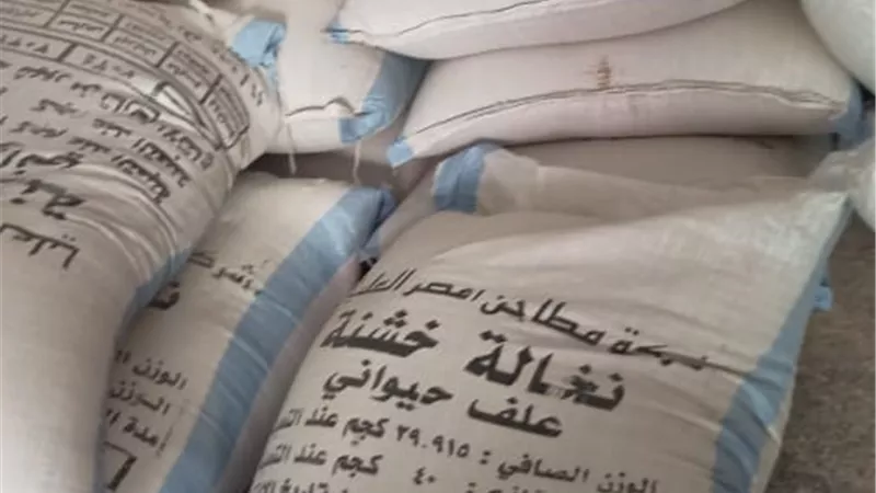 محافظ أسيوط يؤكد استمرار الحملات التموينية على الأسواق