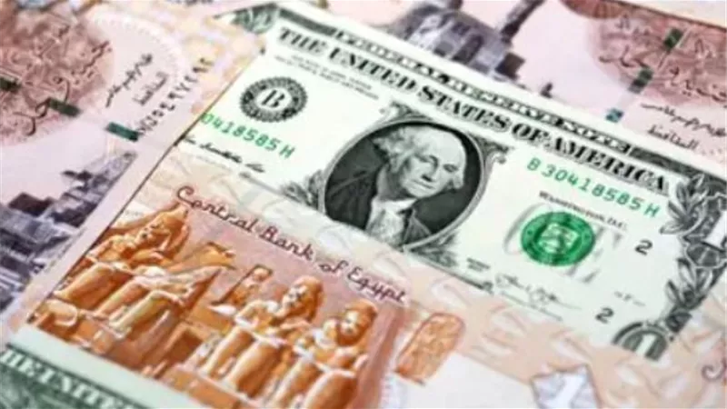 استقرار أسعار صرف الدولار مقابل الجنيه المصري