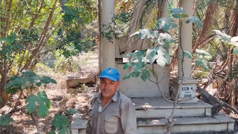 رفع 60 طن مخلفات زراعية من المقابر اليهودية بالاسكندريه