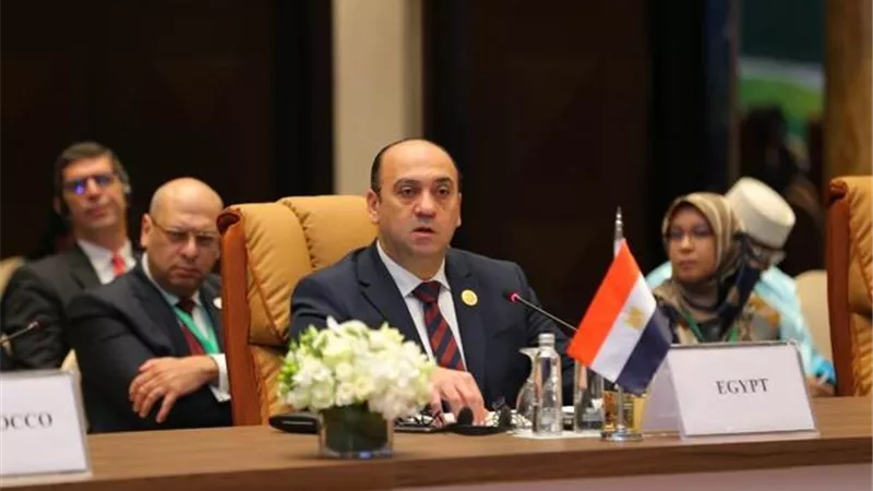تجديد تكليف عمرو عادل رئيساً لهيئة الرقابة الادارية