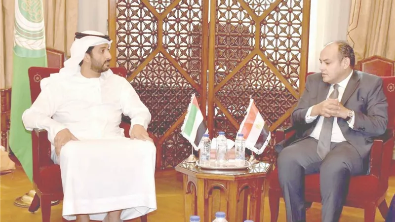 اعتماد قرارات الاجتماعات التحضيرية ذات «الاهتمام العربى المشترك»