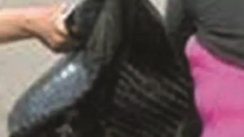 عاطلان خطفا حقيبة بنت المنصورة وسحلوها!