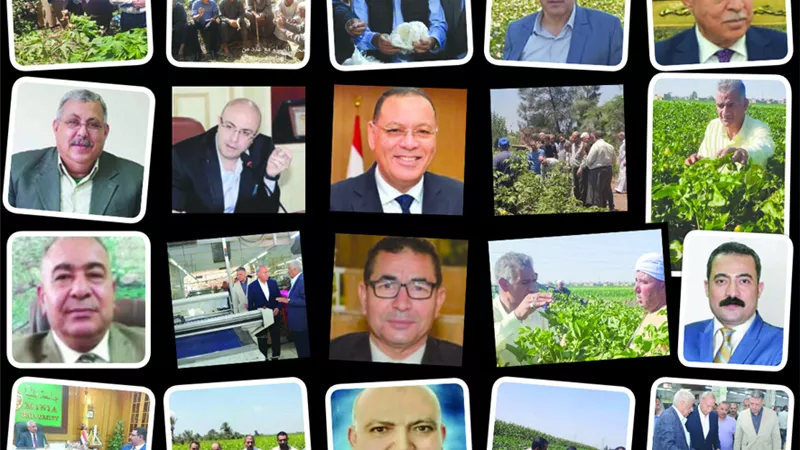 الجمهورية الجديدة.. نورت بالذهب الأبيض