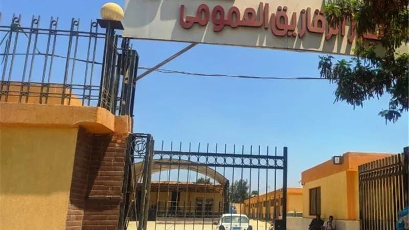 تطوير ٤ مجازر للحوم من يدوية إلى نصف آلية بالشرقية