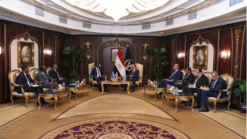 مد جسور التواصل بين البلدين .. وزير الداخلية يستقبل نظيره بجمهورية الصومال الفيدرالية