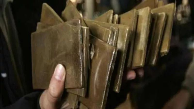 ضبط عنصرين إجراميين بحوزتهما 204طرب من مخدر الحشيش قبل ترويجها بمطروح