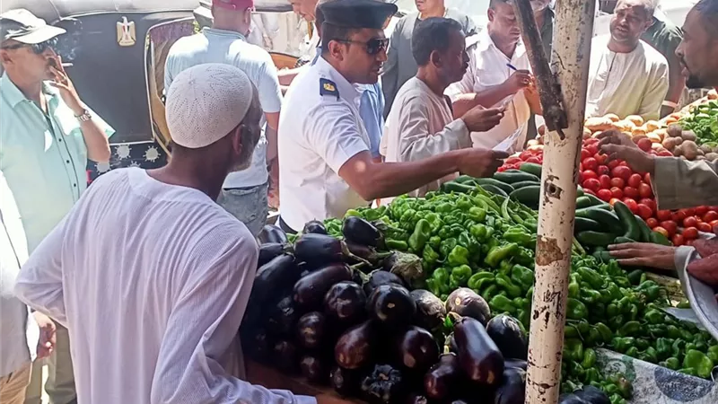 ٤٩ محضر وإزالة إدارية فى حملة للمرافق بأرمنت جنوب غرب الأقصر