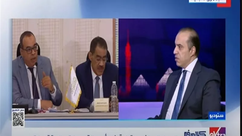 فوزي: الحوار الوطني أوصى بتعيين وزير مسؤول عن قضايا الاقتصاد والتمويل