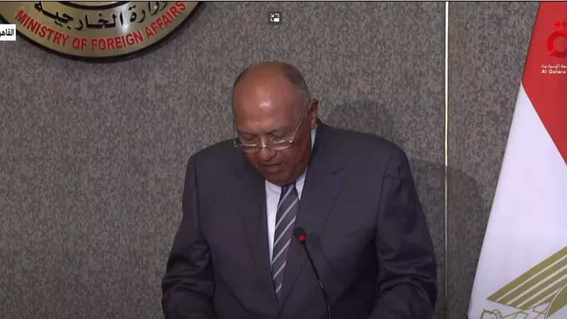 شكري: تبادلت مع وزير الخارجية الياباني الرؤى حول قضايا عديدة ذات اهتمام مشترك