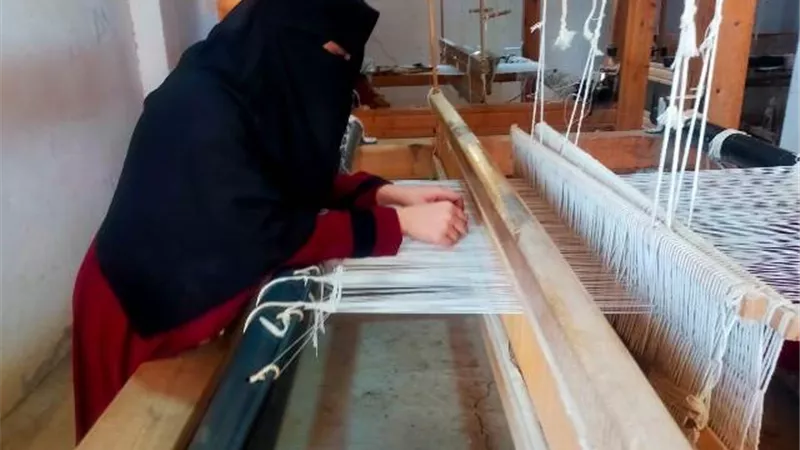 وزارة العمل: دورات تدريبية مجانية على 4 مهن بالوادى الجديد