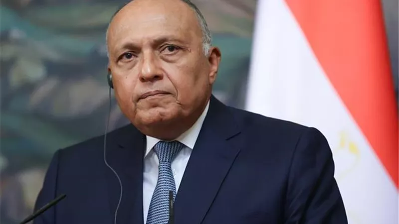 سامح شكري: الجامعة العربية تعاملت بكفاءة وفاعلية مع التحديات