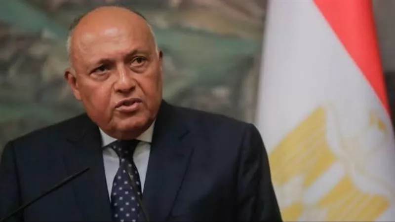 شكرى:الجامعة العربية تفاعلت بكفاءة وسرعة مع الأزمة السودانية