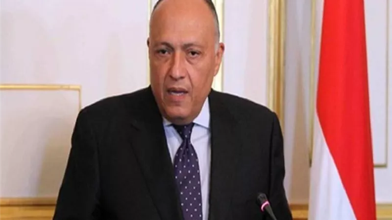 شكري:عودة سوريا إلى الجامعة العربية تساعد الأشقاء على تجاوزالأزمة