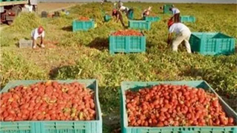 ناميبيا تحظر استيراد بعض المنتجات من أنجولا لمعايير صحية