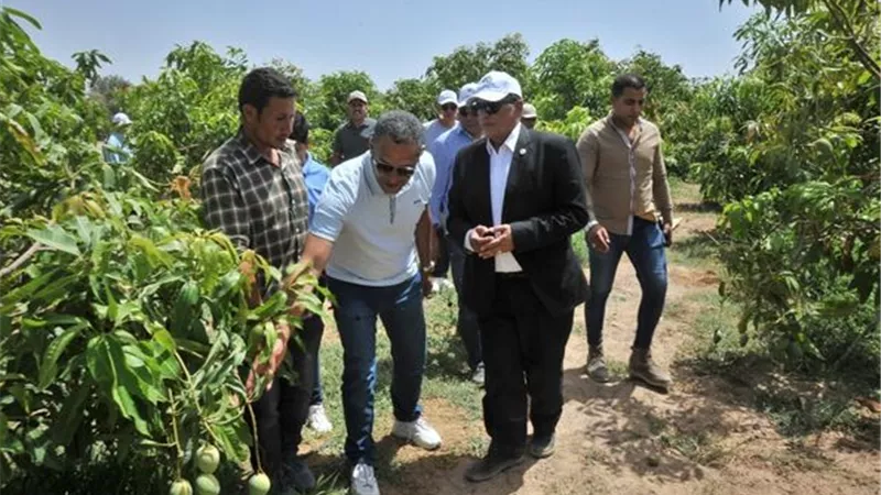 عبد الوهاب:تشجيع الاستثمارات الخضراء في أراضي الريف المصرى الجديد