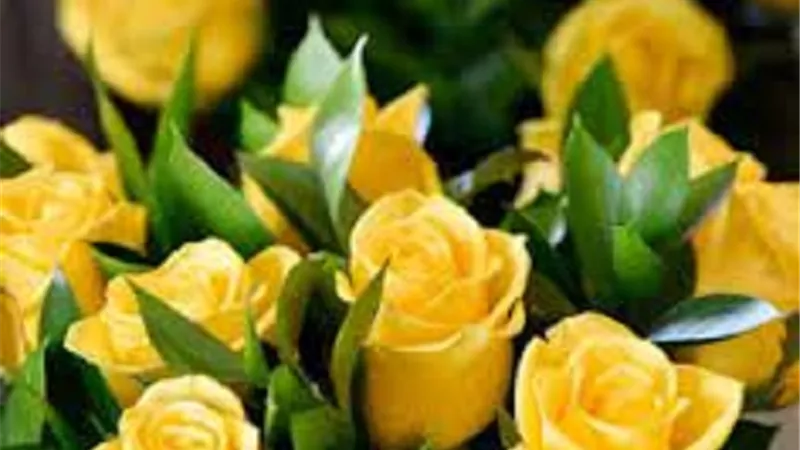 من جميل ما قرأنا السعادة لم ترد في القرآن إلا مرتين