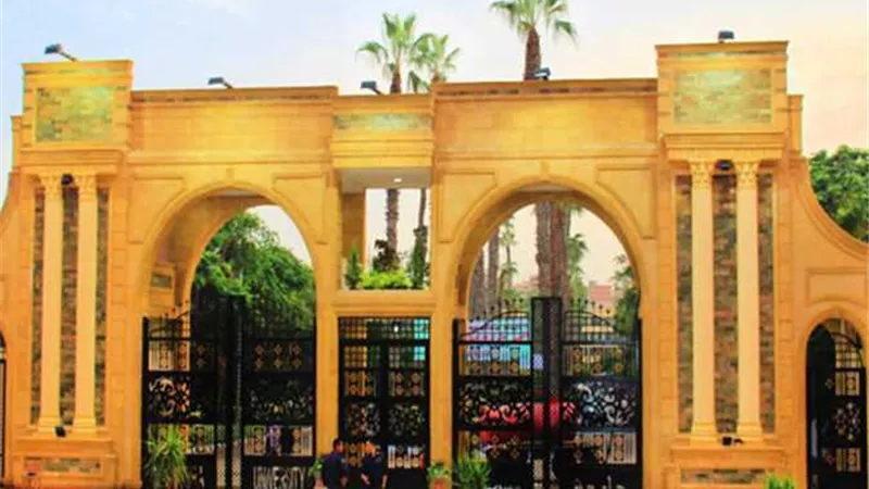 جامعة المنصورة تعلن شروط تحويل طلاب الصيدلة الى الطب البشري