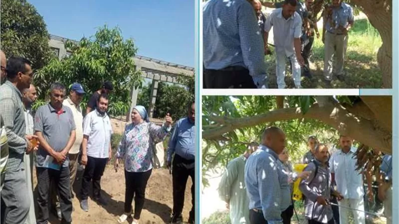 ندوة إرشادية عن طرق مكافحة ذبابة الفاكهة بأبوحماد