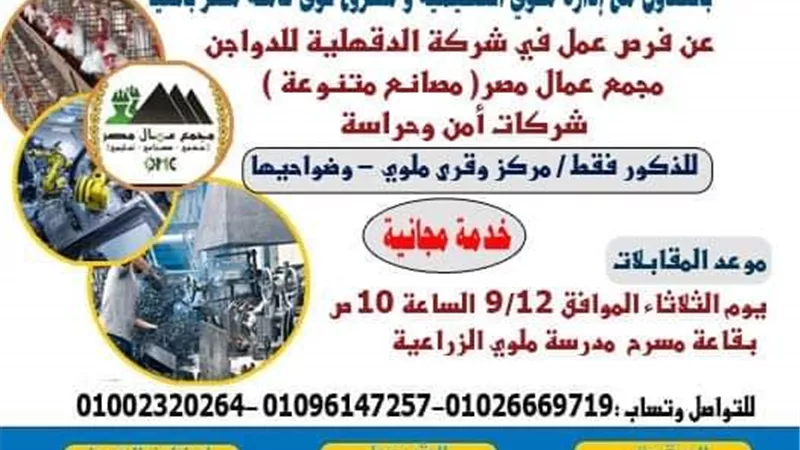 إدارة ملوى التعليمية تقيم ملتقى توظيفى لتيسير الإنتقال لسوق العمل