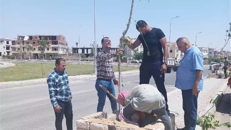 رئيس جهاز الشروق يكشف عن أحدث أعمال الزراعة فى المدينة.. بالصور