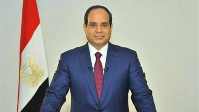 تحويل مصر إلى مركز للطاقة والحبوب.. كلمة السيسي في قمة العشرين