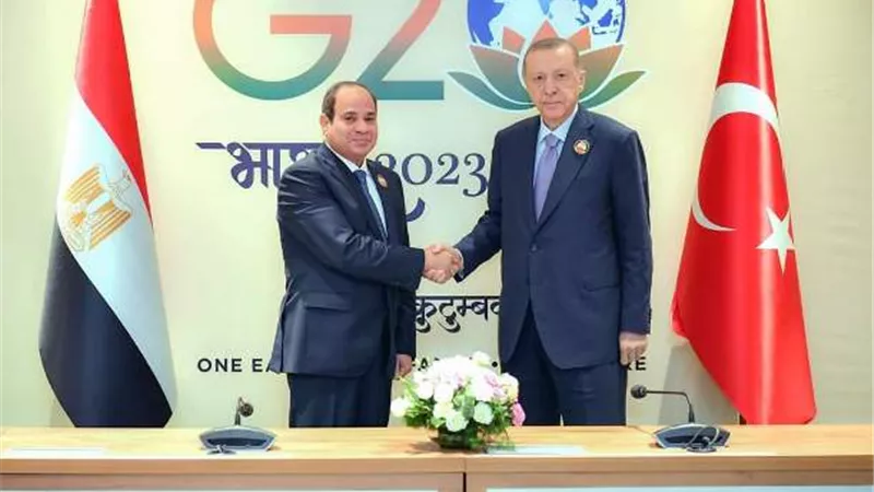 السيسى وأردوغان تبادلا الرؤى حول الأوضاع الإقليمية فى لقاء بـ نيودلهى