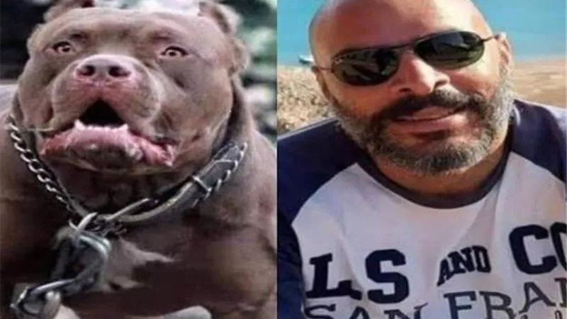 تأجيل محاكمة زوج مذيعة في واقعة وفاة مدير بنك لجلسة 25 سبتمبر