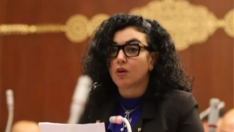 عضو خارجية الشيوخ: لقاءات الرئيس بنيودلهي تعكس دور مصر دوليا