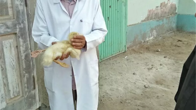 جامعة الزقازيق توجه قافلة بيطرية لقرية كفر العلماء