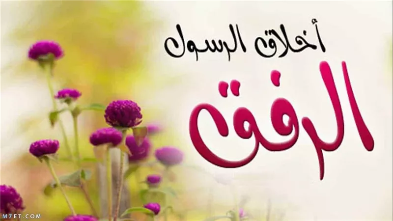 هذا ديننا الرِّفْق خلق الإسلام