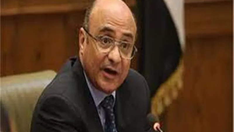 وزير العدل يكشف تفاصيل الرؤية والحضانة والنفقة بقانون الأحوال الشخصية الجديد