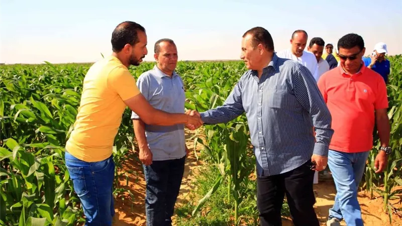 عبدالوهاب:المزيد من الدعم لمزارعي مشروع الـ1.5 مليون فدان