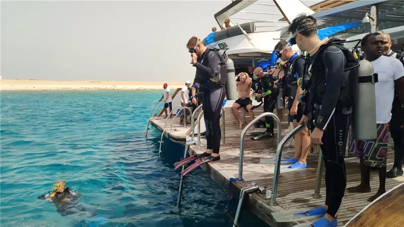 بمشاركة 200 غطاس مصرى واجنبى حملة لمكافحة النفايات وحماية البيئة