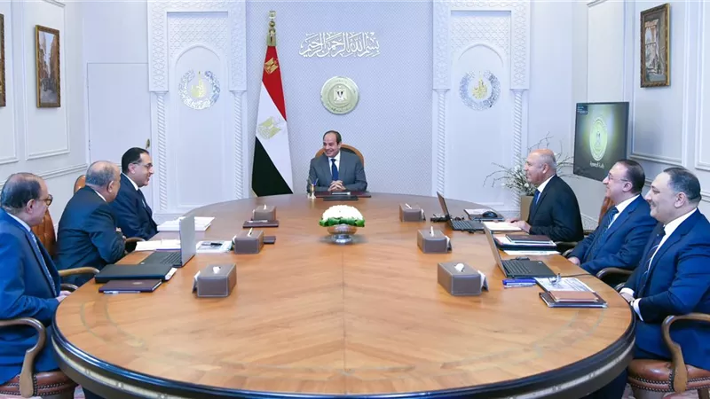 الرئيس السيسي يوجه بمواصلة الجهود الرامية لتطوير شركات قطاع الأعمال