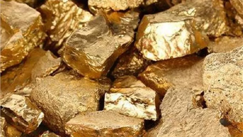 شخص يجمع ذهب بـ 100 مليون روبل ويفقده في لحظة