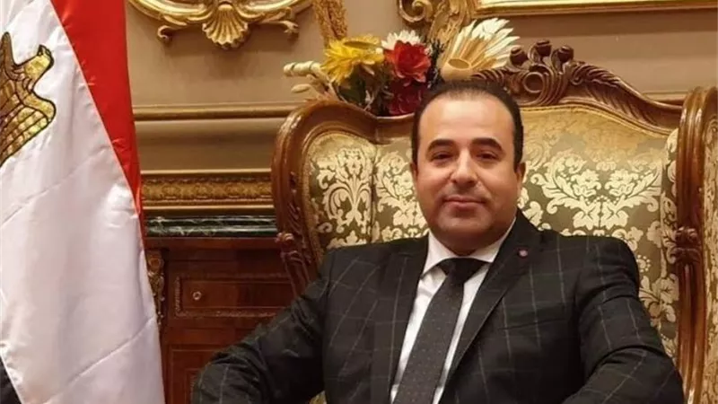 النائب أحمد بدوى : مصر سند الأمة فى أوقات الأزمة