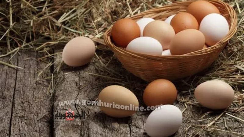 أسعار البيض اليوم الخميس 14-9-2023