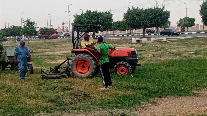 تطوير وتجميل ميادين الإسماعيلية