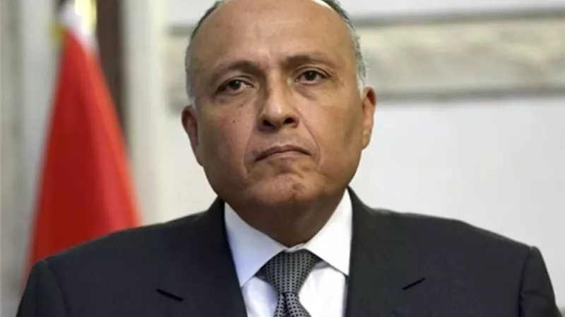 العلاقات « المصرية ـ الفرنسية ».. تاريخية وإستراتيجية
