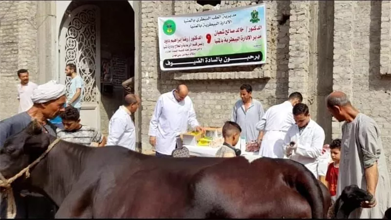 خدمات بيطرية لـ 1492 رأس ماشية خلال قافلة مجانيةبالمنيا