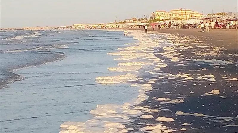 شواطئ بورسعيد تشهد عددًا من الظواهر الطبيعية.. ما السبب ؟