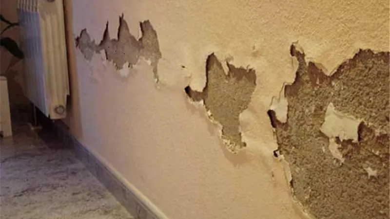 9 خطوات للتخلص من رطوبة المنزل
