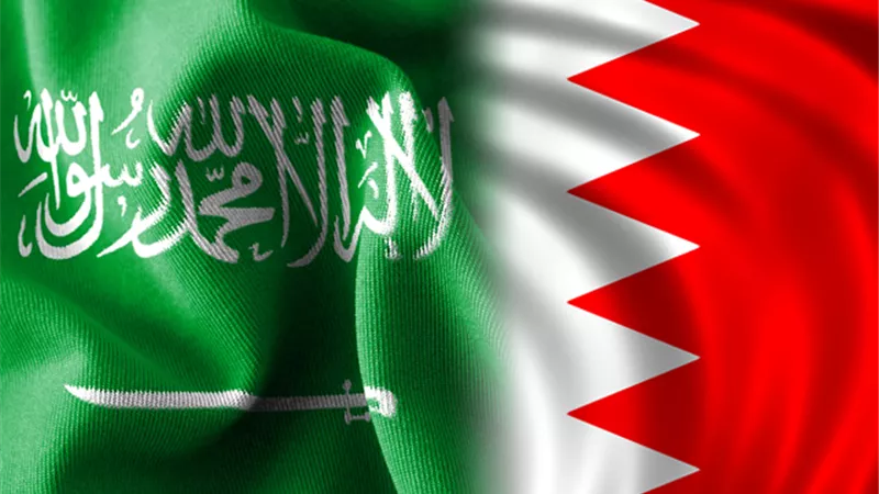 السعودية والبحرين يبحثان سبل تعزيز التعاون ومعالجة التغير المناخى